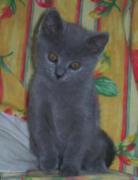 Chartreux